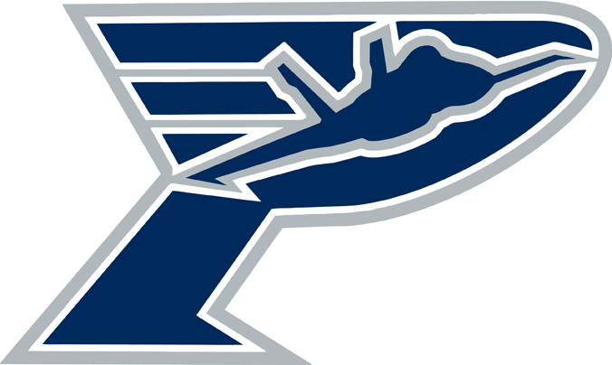 pensacola ice flyers 2013-pres secondary logo iron on heat transfer